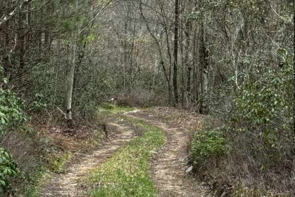 Sprout Springs Trail