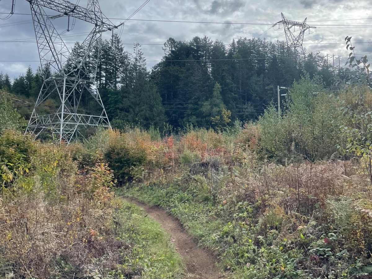 Motocross Track to Rob's Rip Connector photo 2