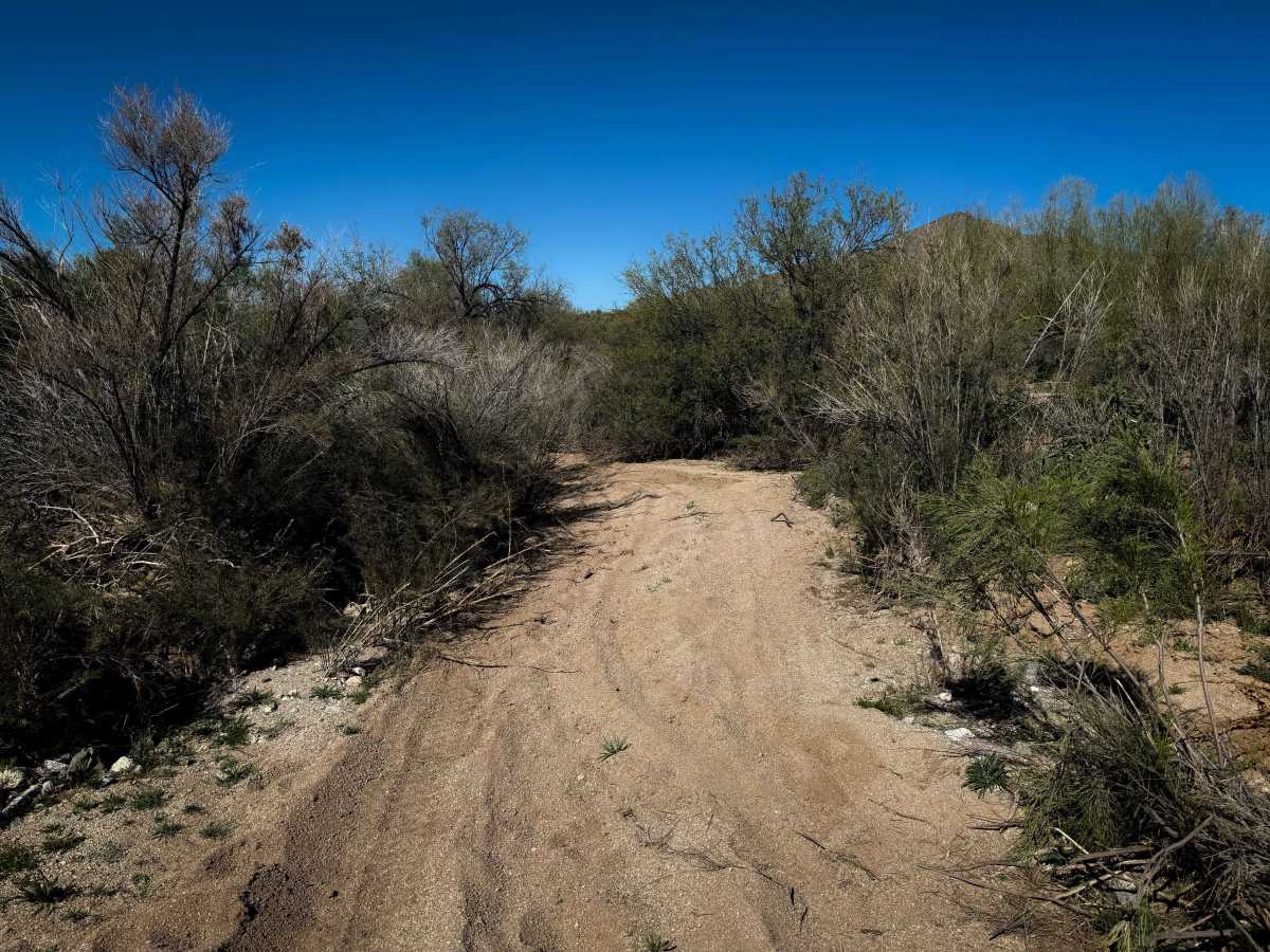 Upper Brady Wash  photo 6