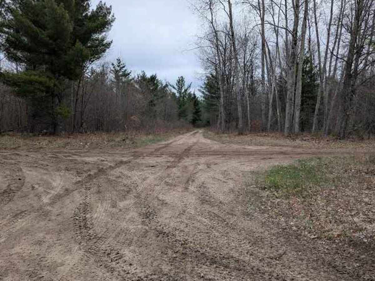 Osceola Trail North photo 3