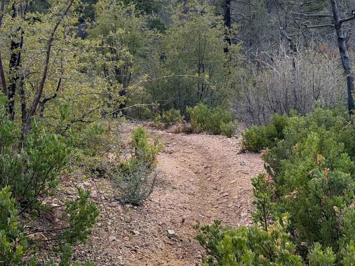 Cement Troughs Trail #918  photo 3