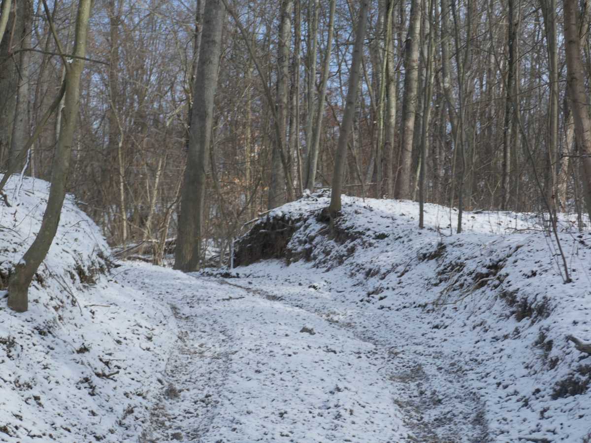 Trail 5 photo 3