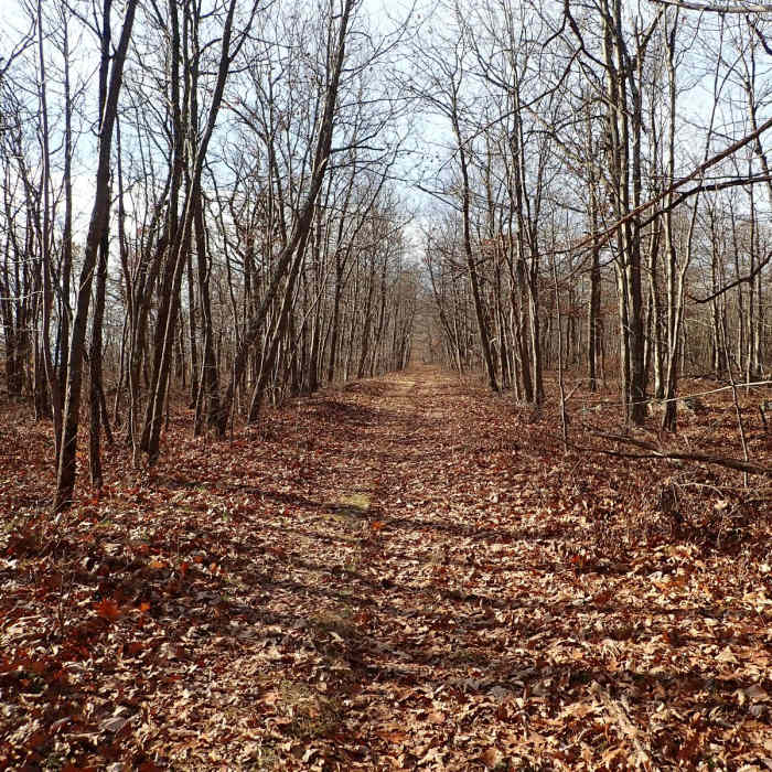 Near Appalachian Trail - Skyline to Catfish Pond Gap Near Appalachian Trail - Skyline to Catfish Pond Gap