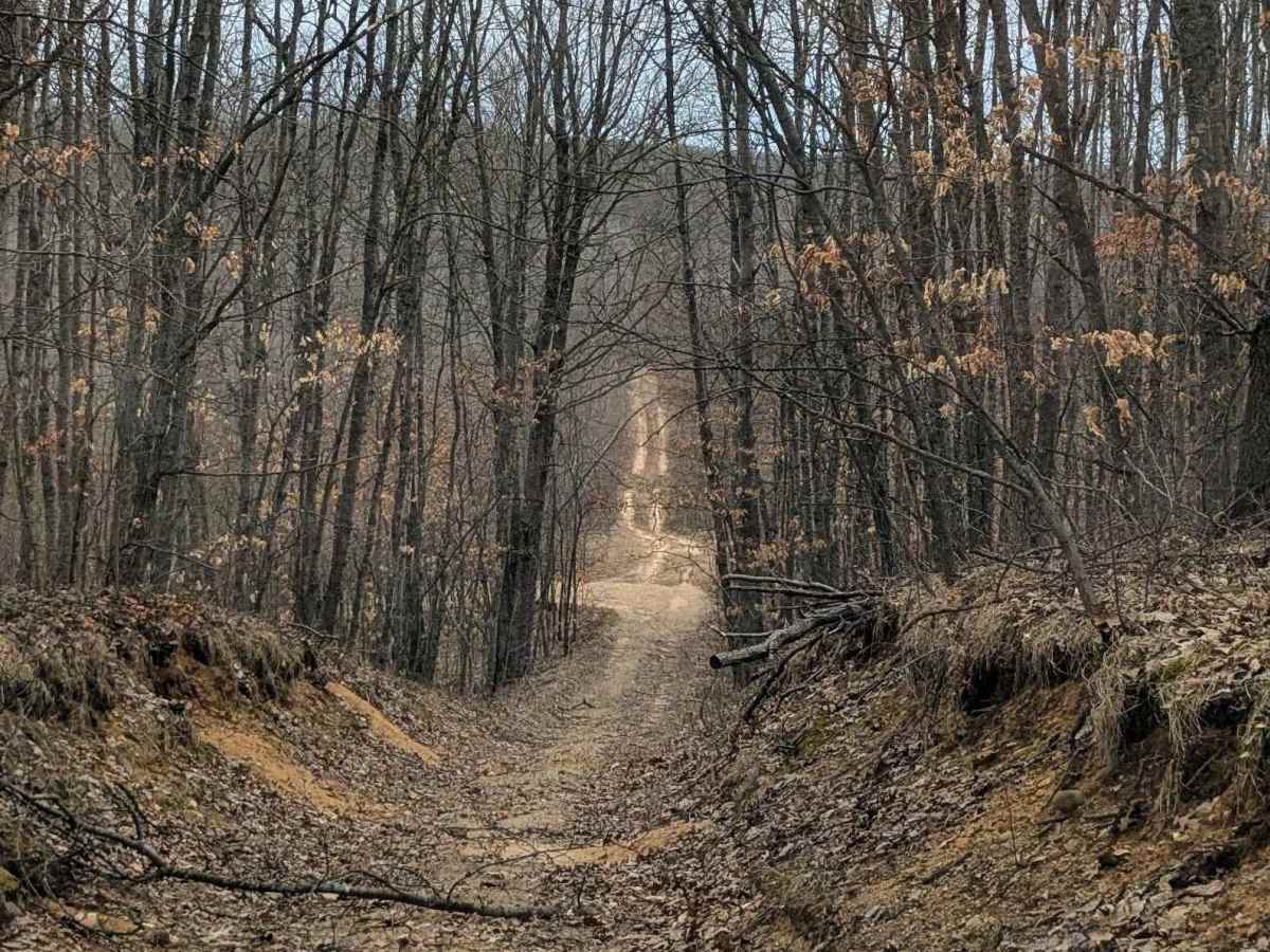 Hilly Trail photo 4