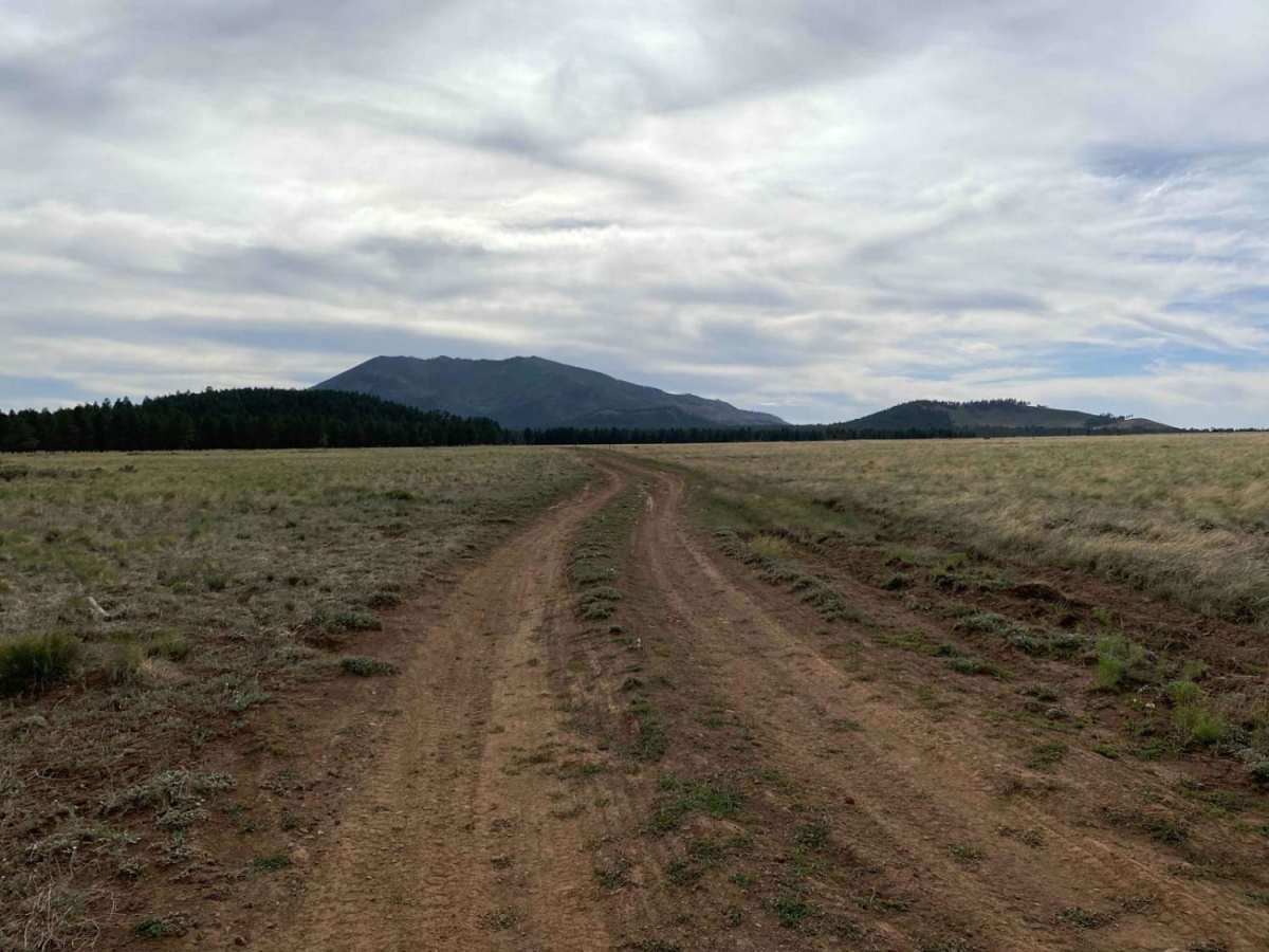 Wildlife Way photo 2