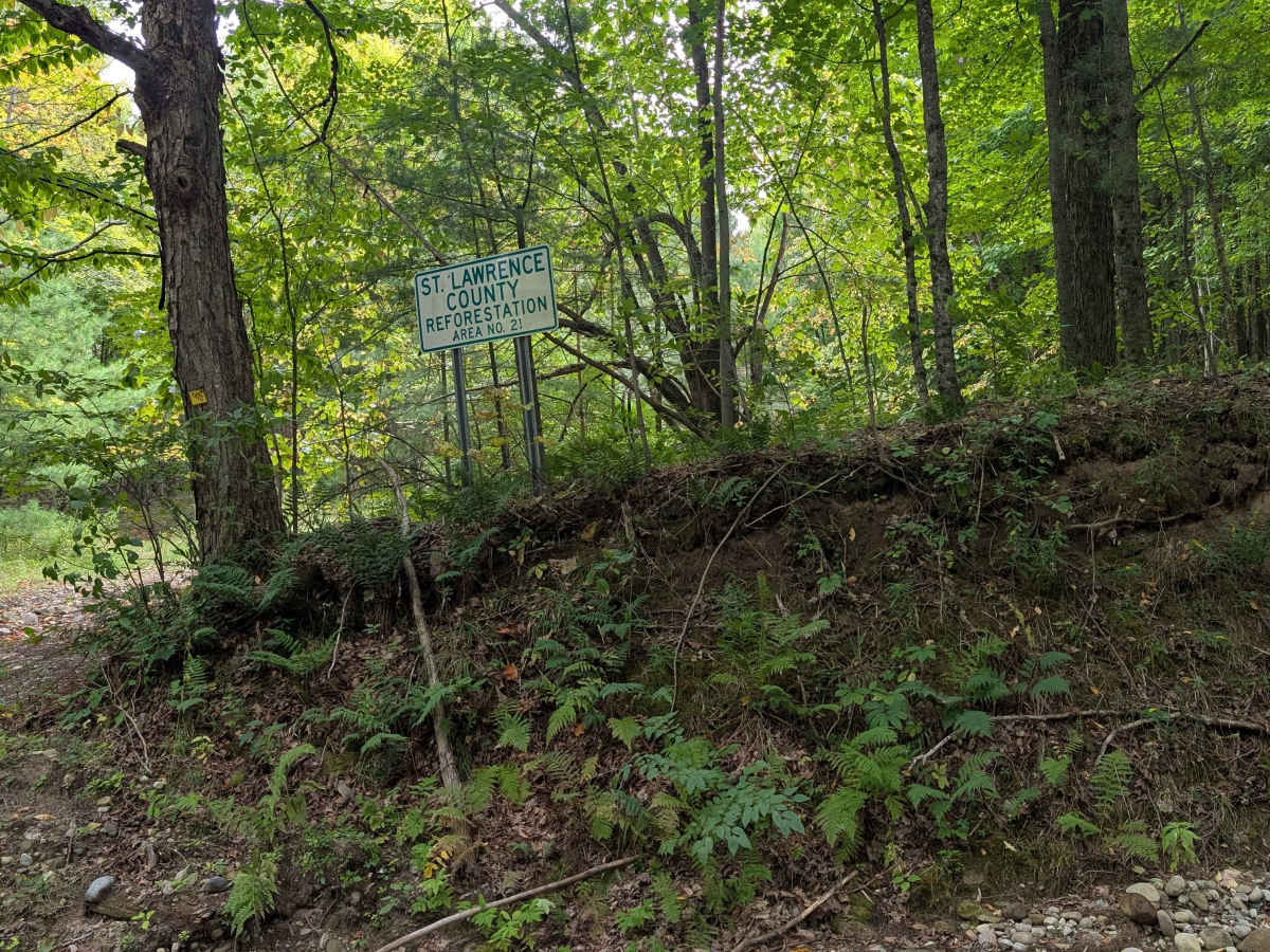 SLC-TRAIL 21 photo 2