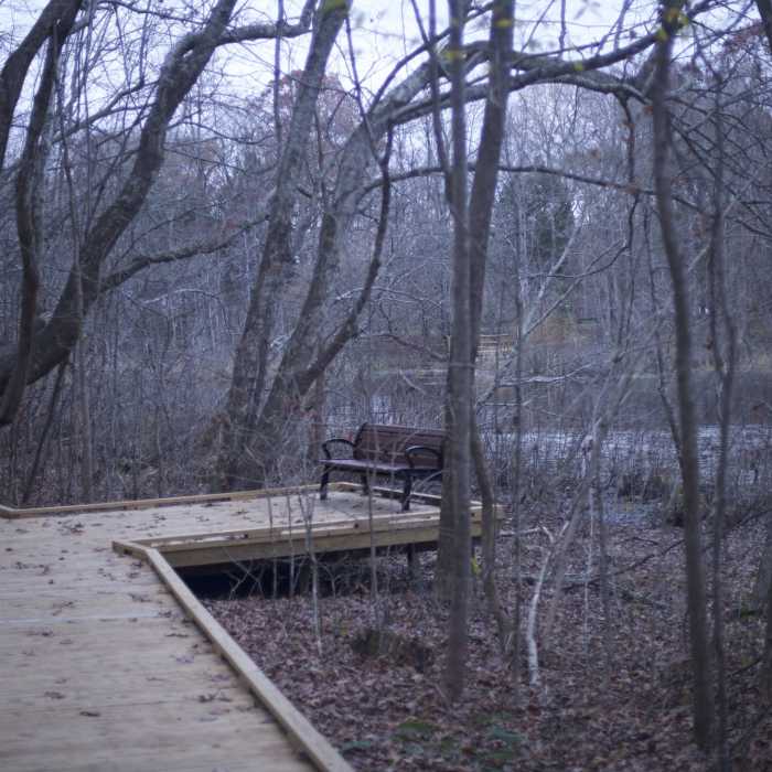 Near Sloans Crossing Pond Walk