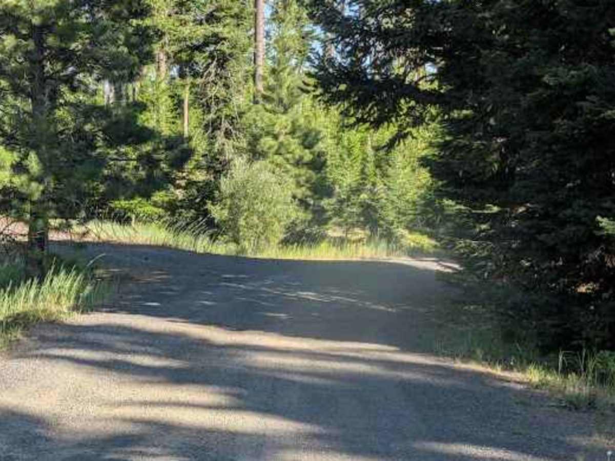 Wilson Creek Road - FS 3517 photo 5