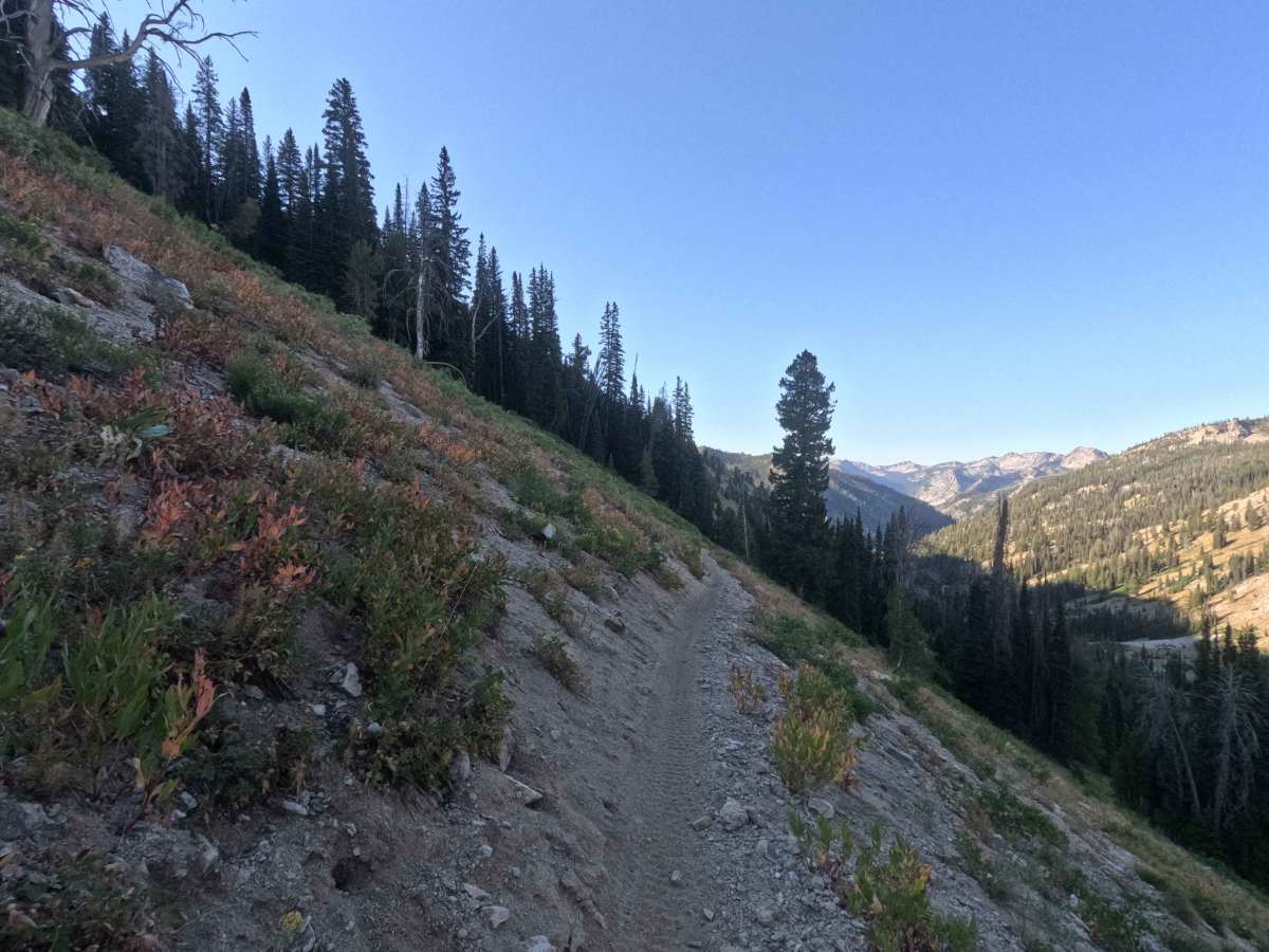 North Fork Ross Fork - FS 7226 trail photo