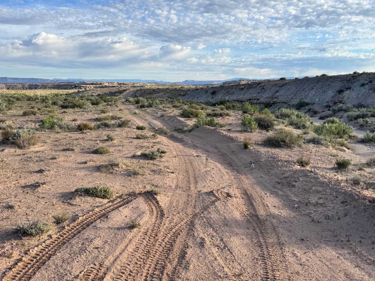D2946 trail photo