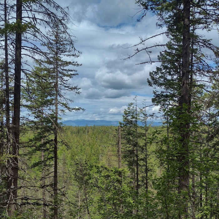 Near Highpoint Trail