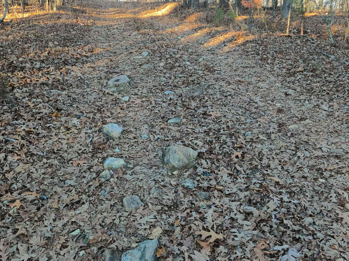 Town Hollow - FS 2647 photo 4