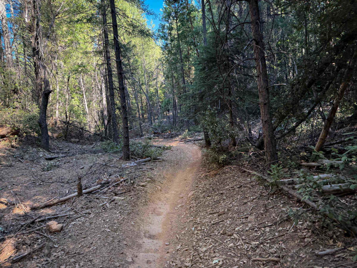 Trail 9 (11E13)  photo 4