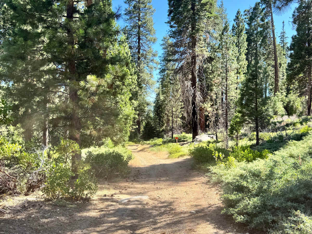 Old Strawberry Road Trail - FS 4N28YB photo 4