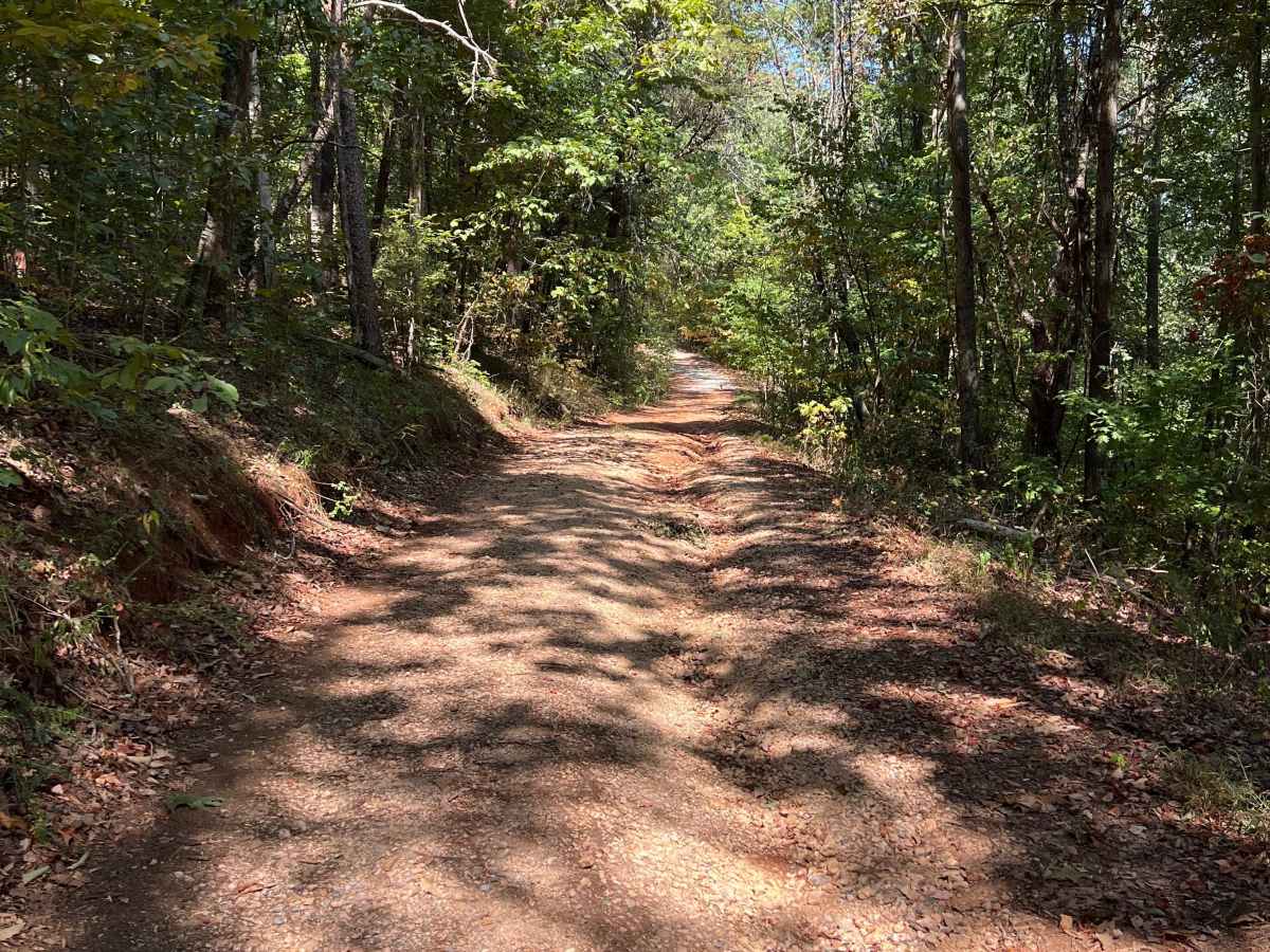 Smith Gap Branch A - FS 635A photo 3