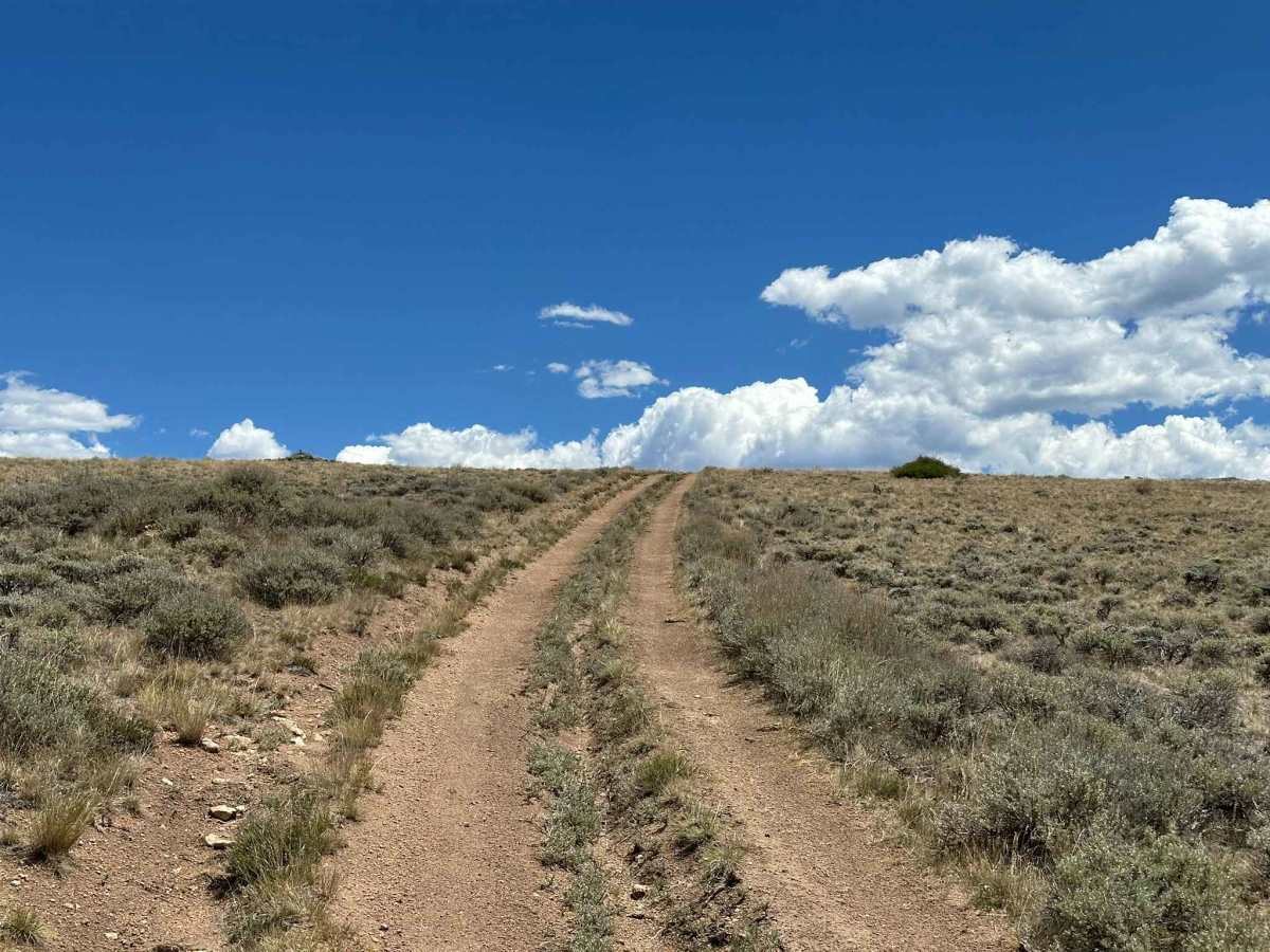 Jensen Creek Ridge Road photo 2