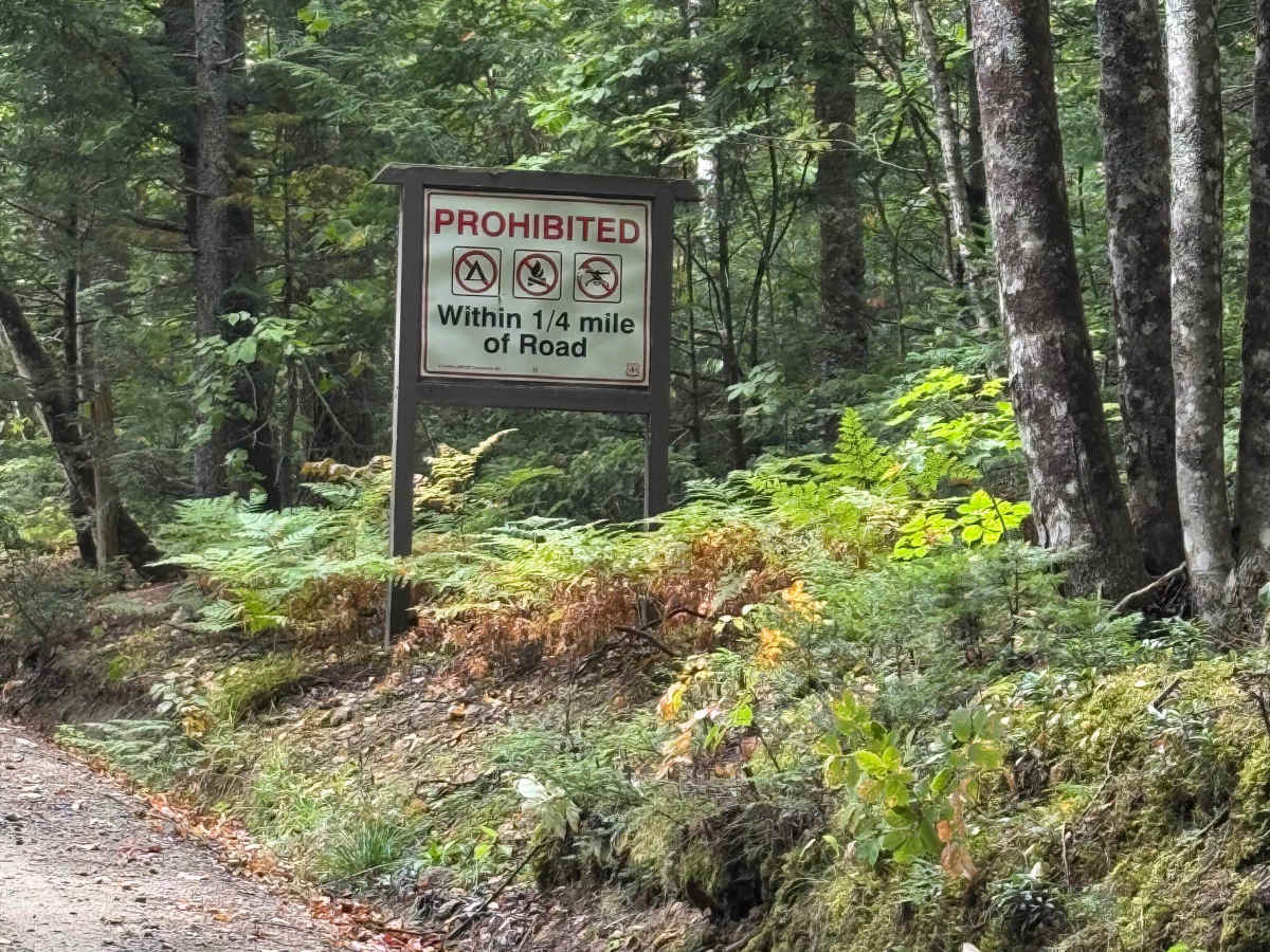 Pine Mountain Notch (Dolly Copp Rd) photo 4
