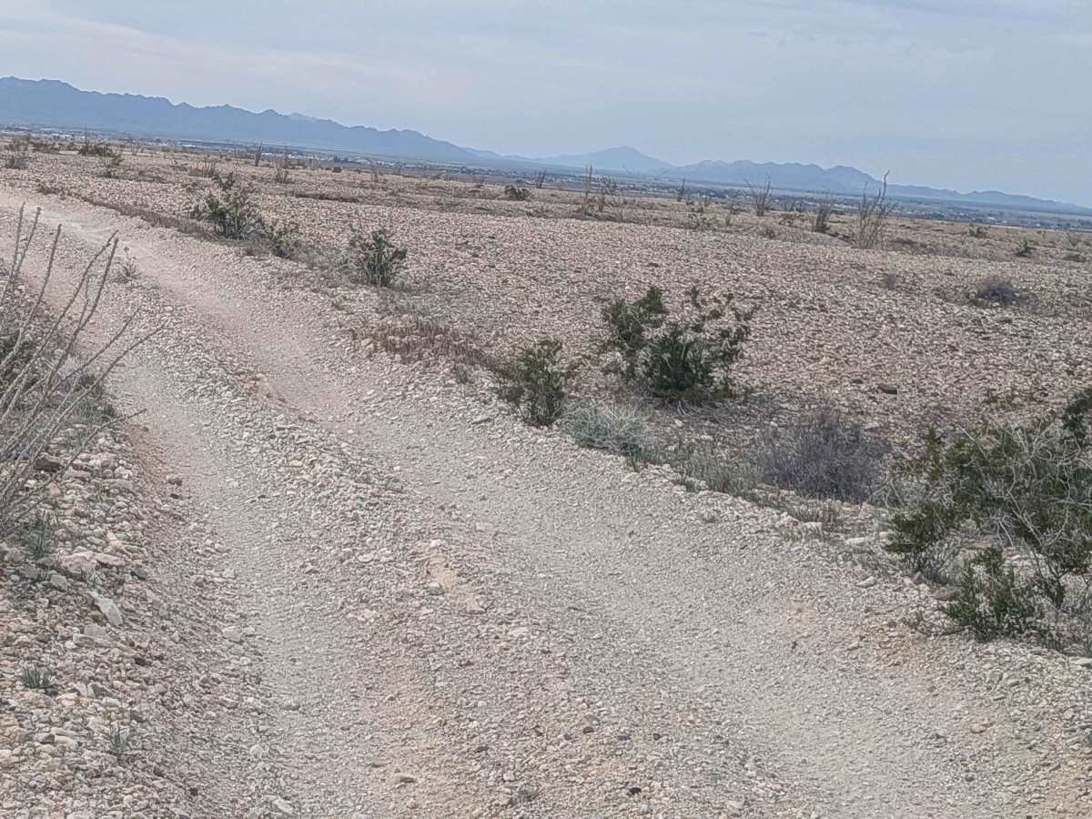 EC1224 photo 6