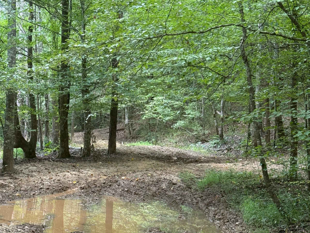 406 Mud photo 4