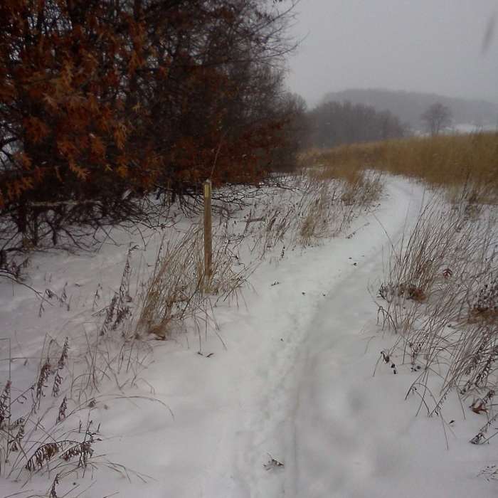 Near Ice Age Trail: Madison Segment