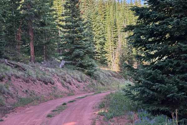 Hat Creek Road