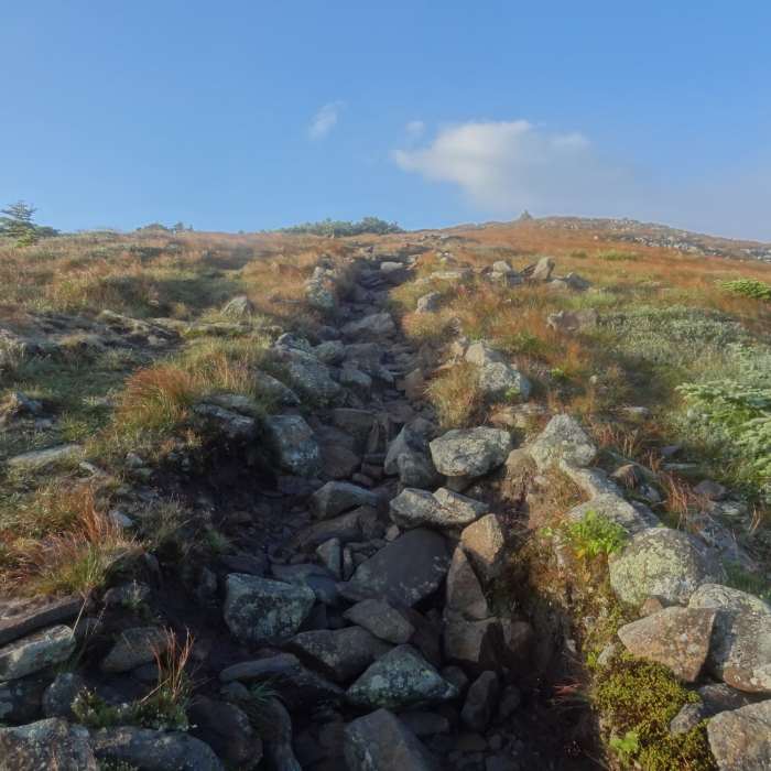 Approaching Moosilauke Summit Near Beaver Brook Out and Back