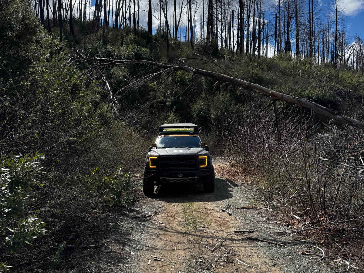 Martin Creek trail photo