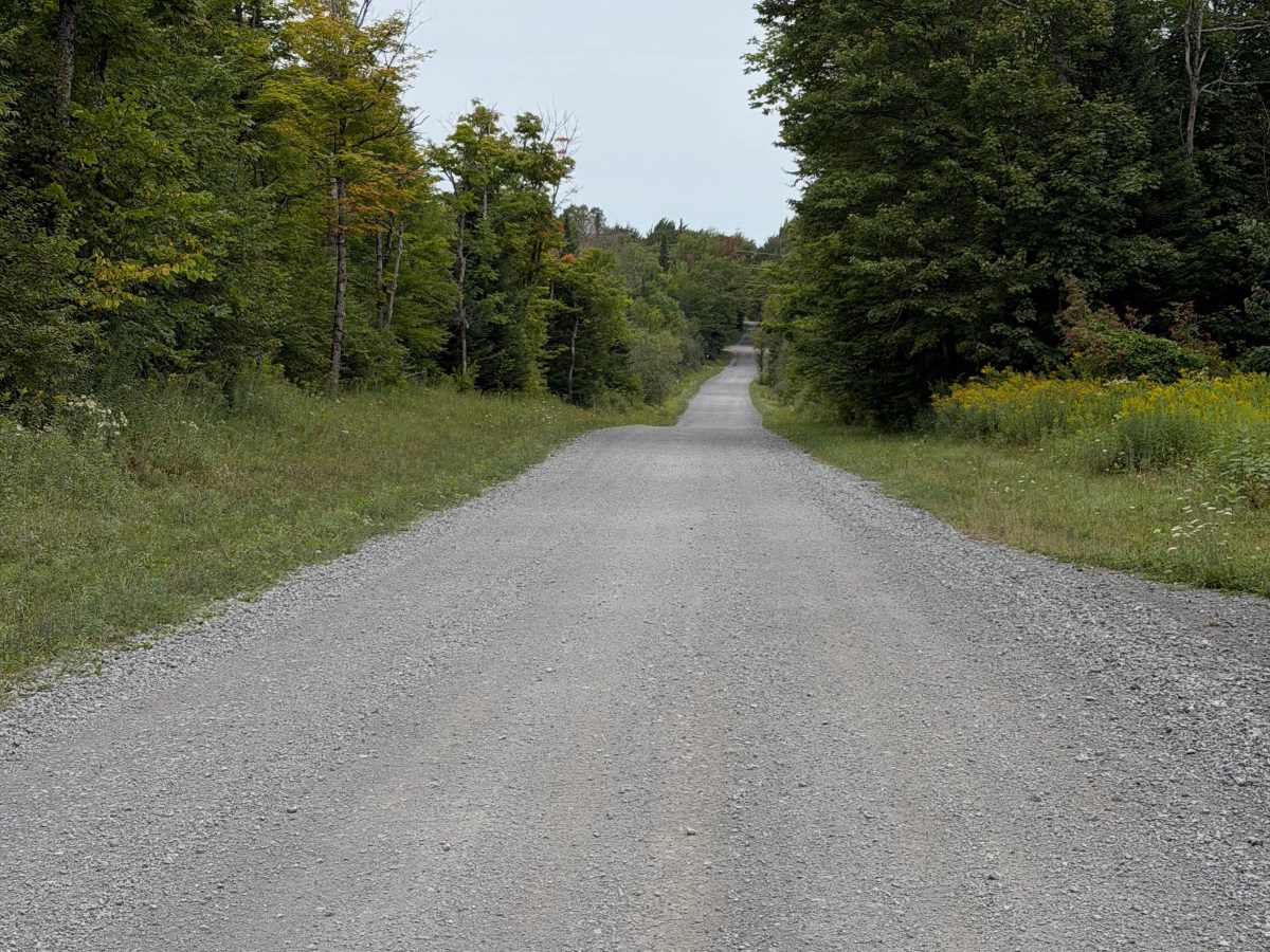 Carey Road photo 6