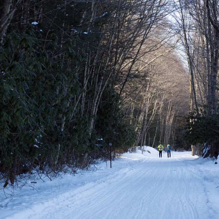 Near D & L Trail Lehigh Tannery to White Haven Near D & L Trail Lehigh Tannery to White Haven