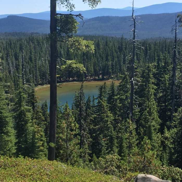 Near Cowhorn Mountain