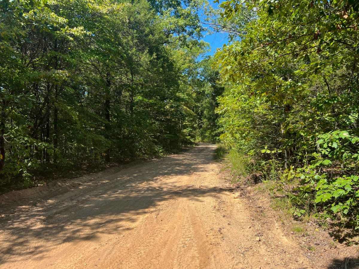 Smith Branch Trail photo 6