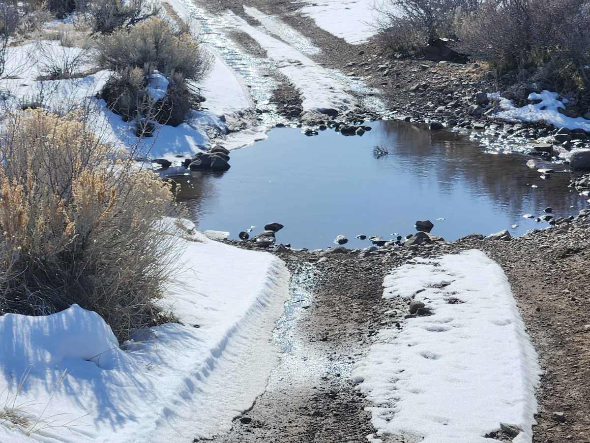 P-10 Trail photo 6