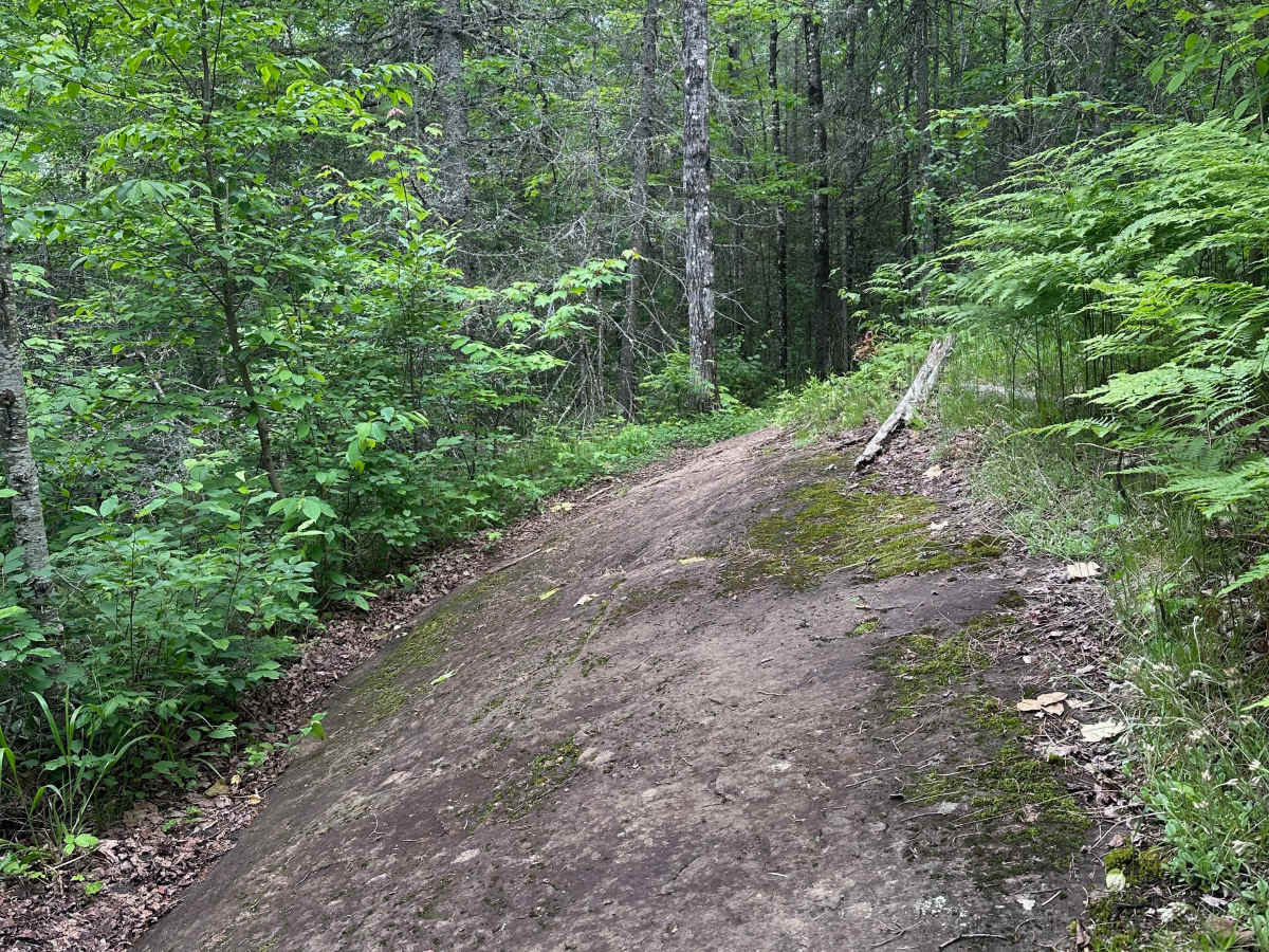 Alger Grade - Trail 2 photo 5