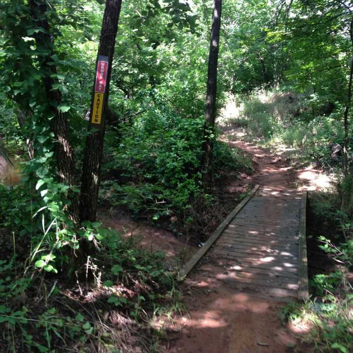 Near Bluff Creek Loop