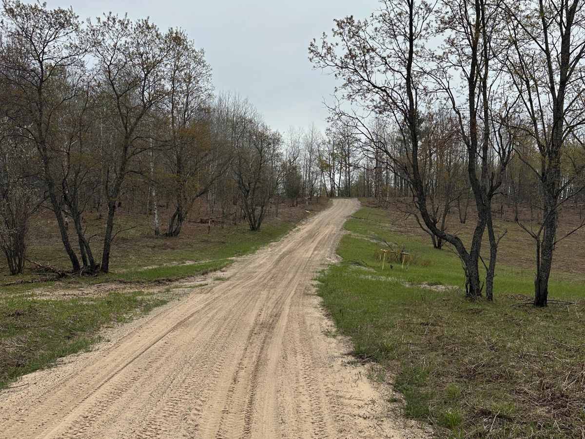 Sand Lake Loop photo 3