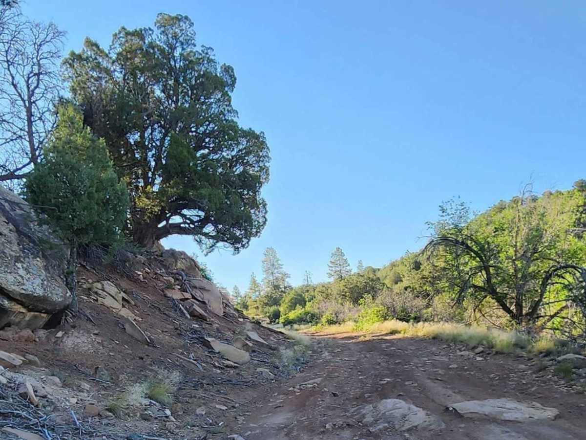 Beaver Rim Road photo 2
