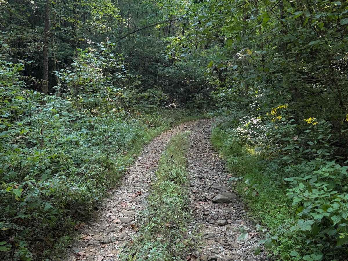Bowling Branch Trail photo 6