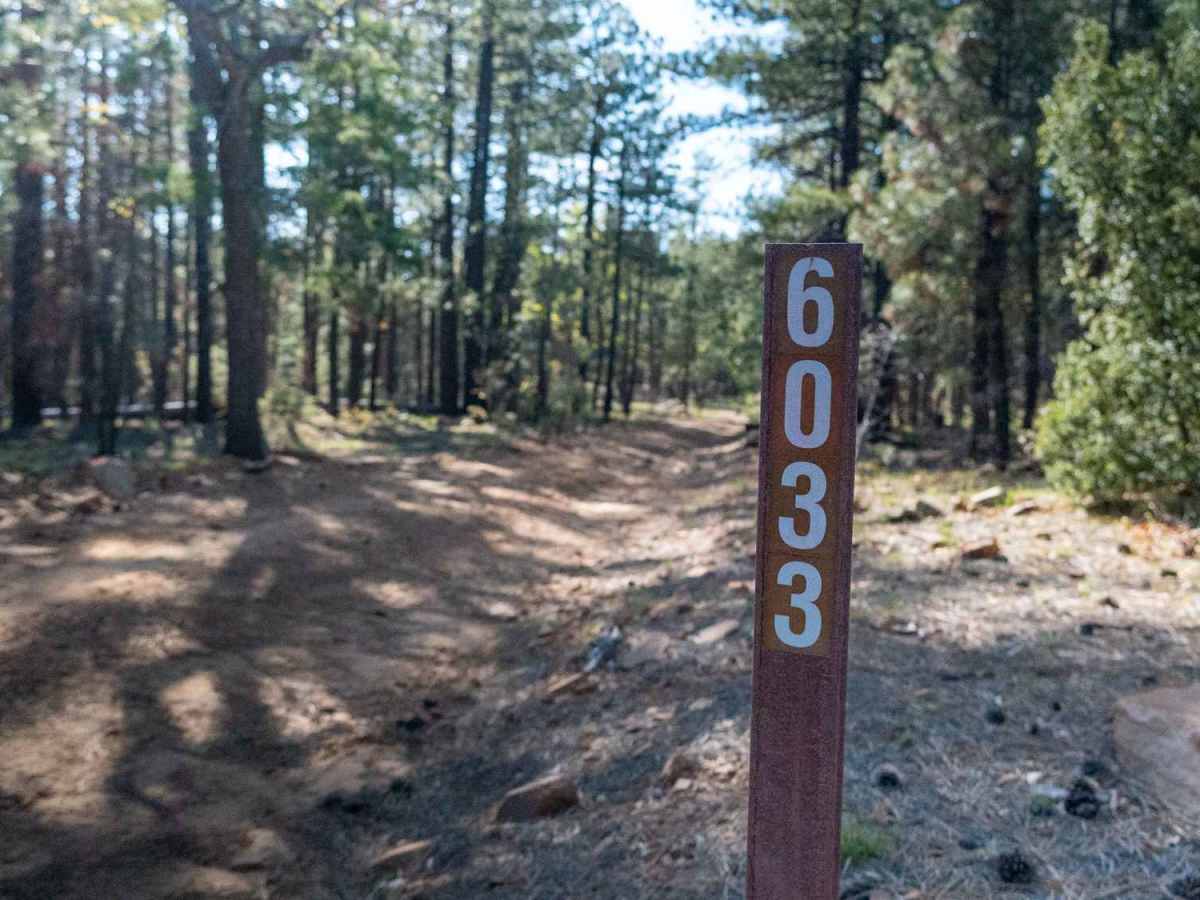 FS 6033 trail photo