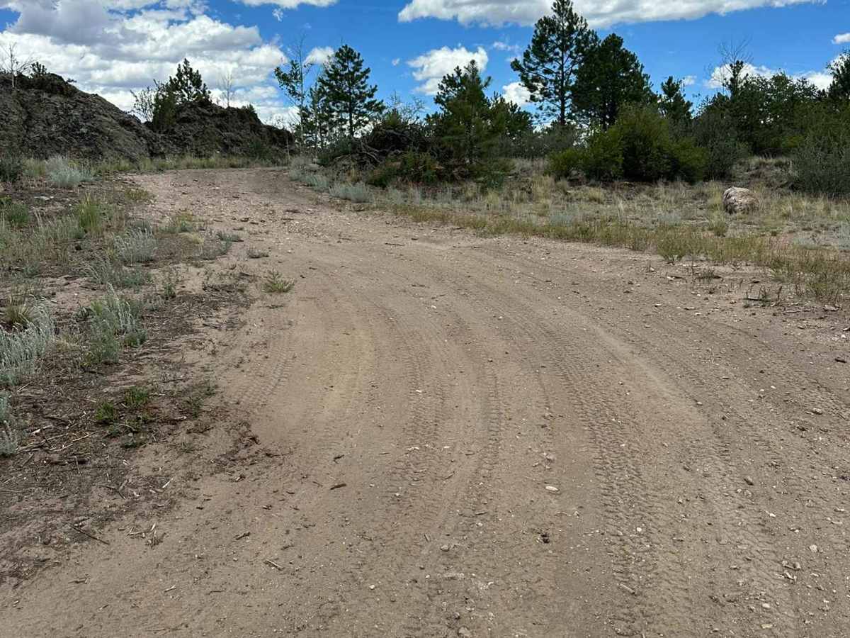 Zig Zag Loop photo 4