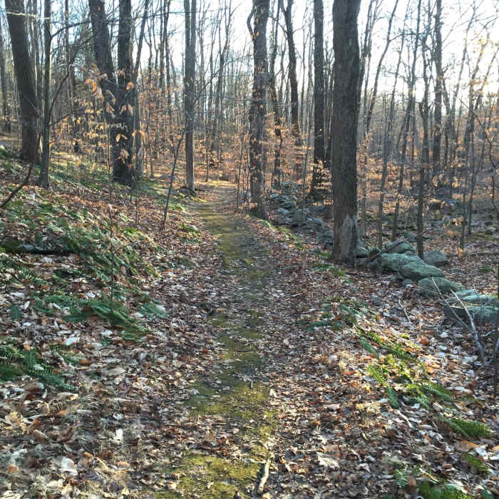 Near Devils Den Nature Preserve Perimeter