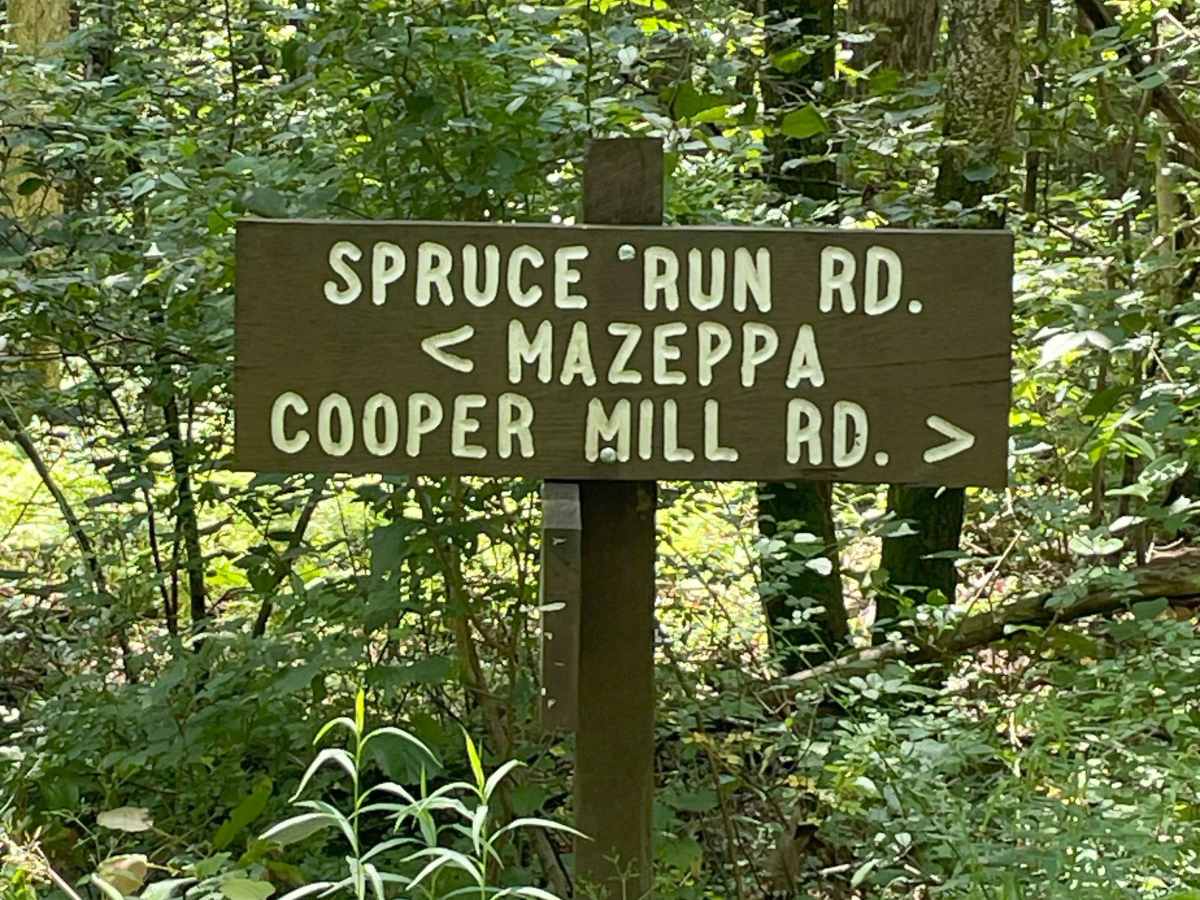 Spruce Run Road trail photo