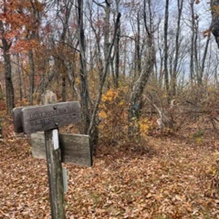 Near Punchbowl Mountain to James River