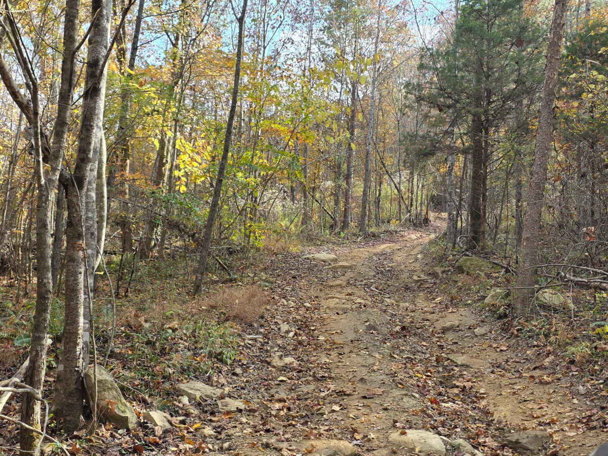 Cave Hollow Road photo 5