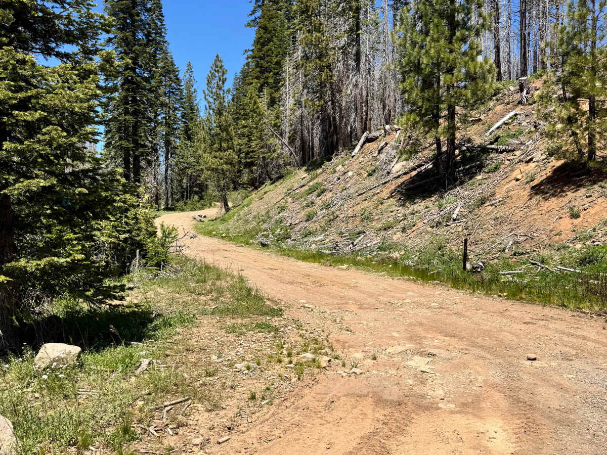 Scotts John North - FS 26N11 trail photo