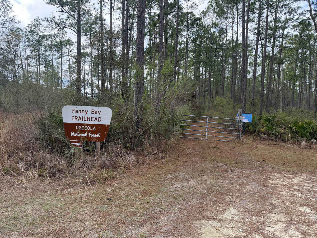 FR 257 trail photo