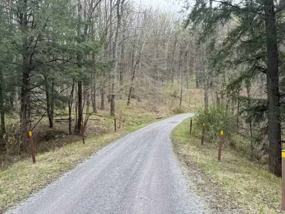 North Branch Sugar Run - FS 271 trail photo