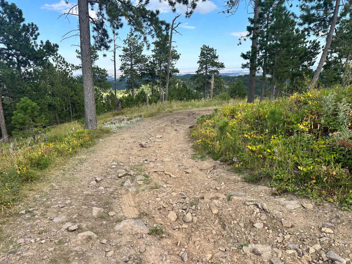 Cicero Peak Road photo 6