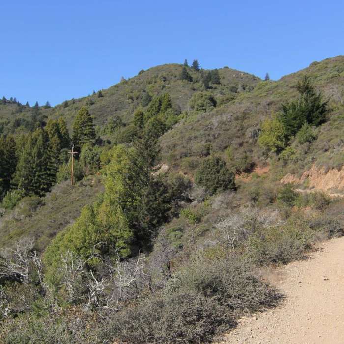 Near East Peak via Hogback + Fern Creek Trail