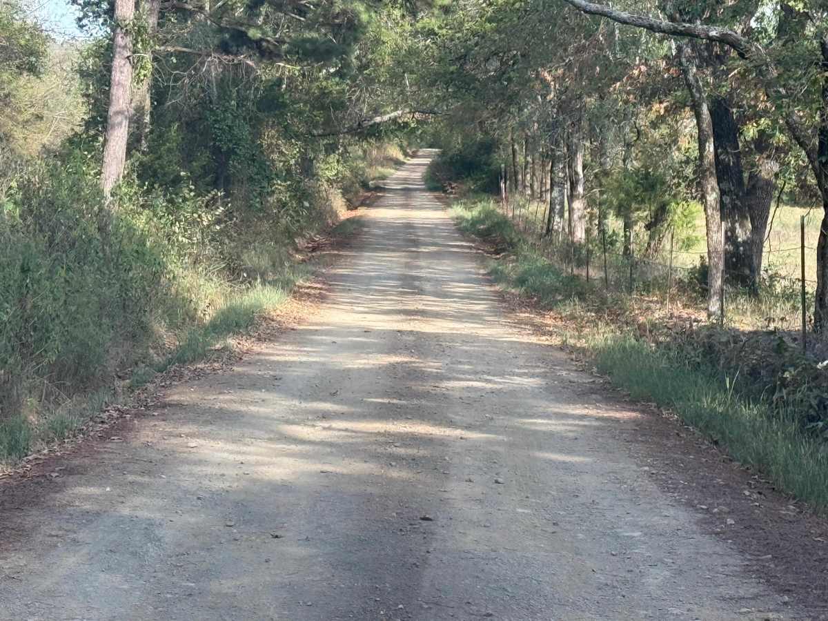 Polk Road 301 photo 3