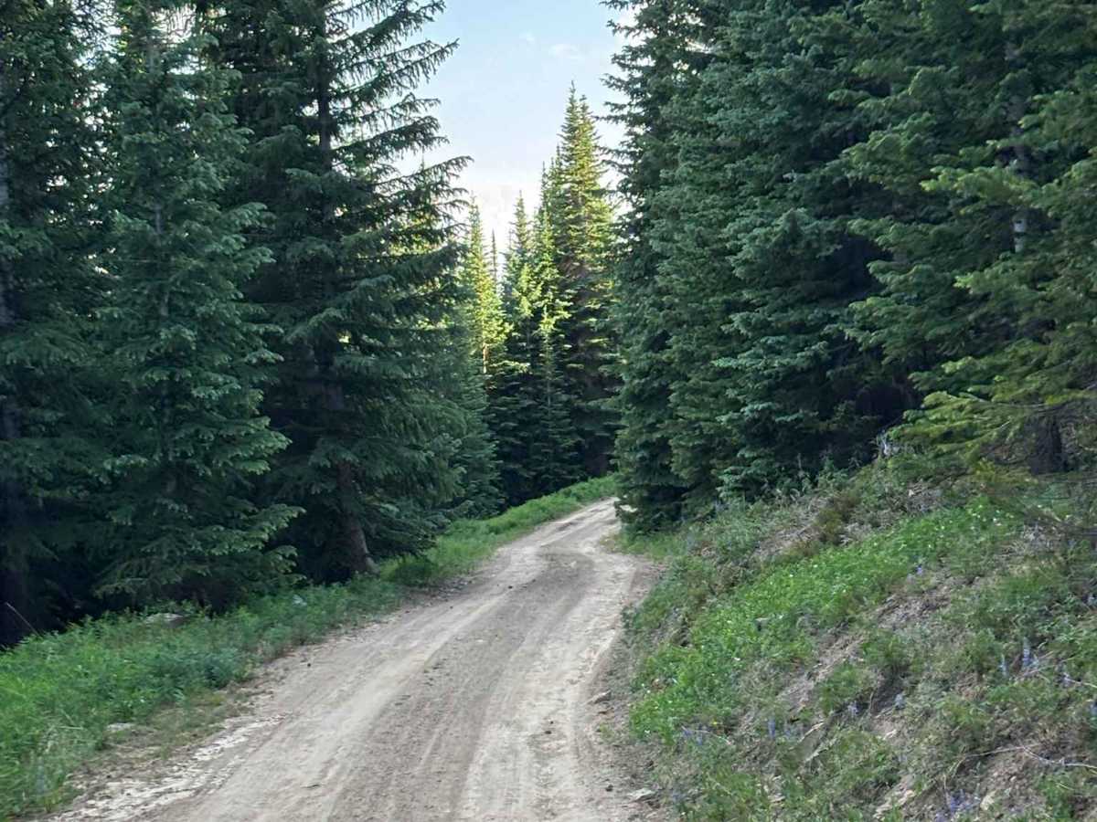 Hat Creek Road photo 4